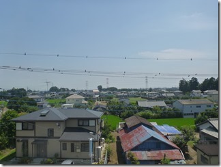 鴻巣市屈巣O様 東京スカイツリー方向の景色(完了)。